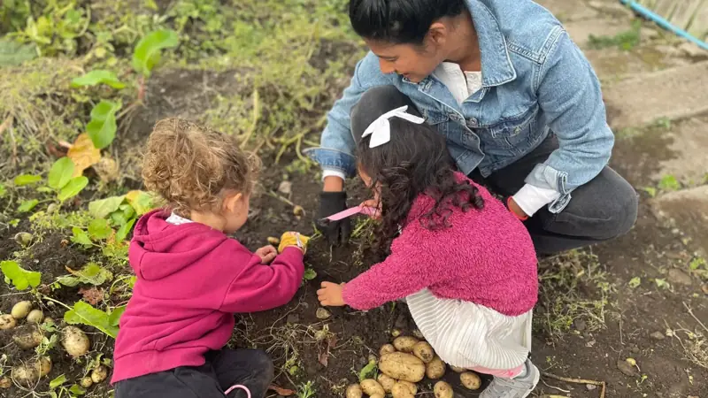 A child and an adult planting seedlings